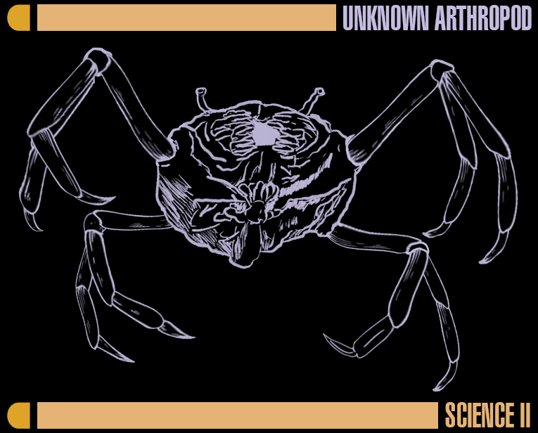 Silicon Spider Creature